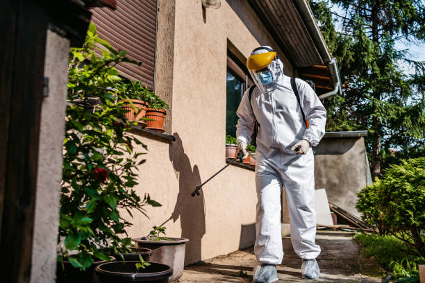 Wasp Removal Services in Fairfield University, CT