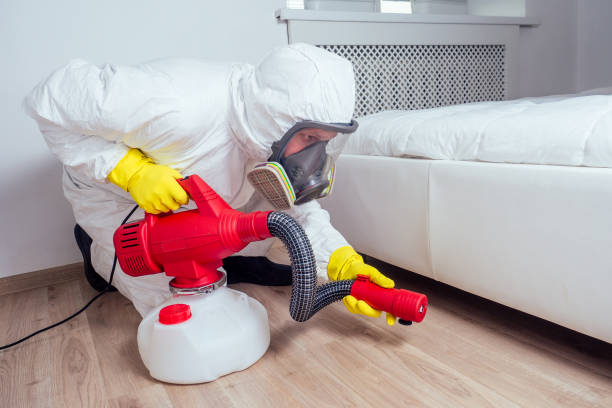 Insect Control in Fairfield University, CT