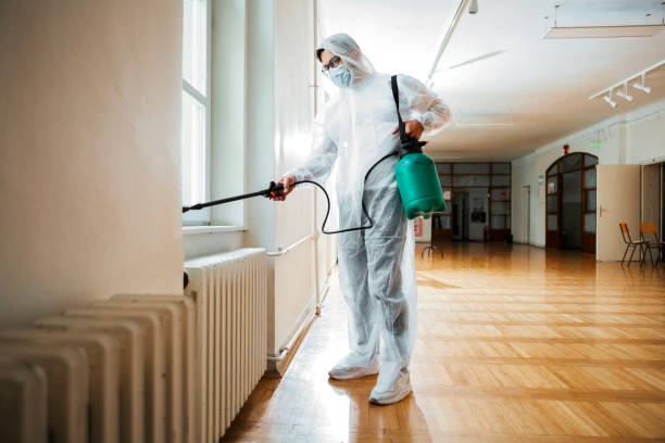 Best Pest Removal Services  in Fairfield University, CT