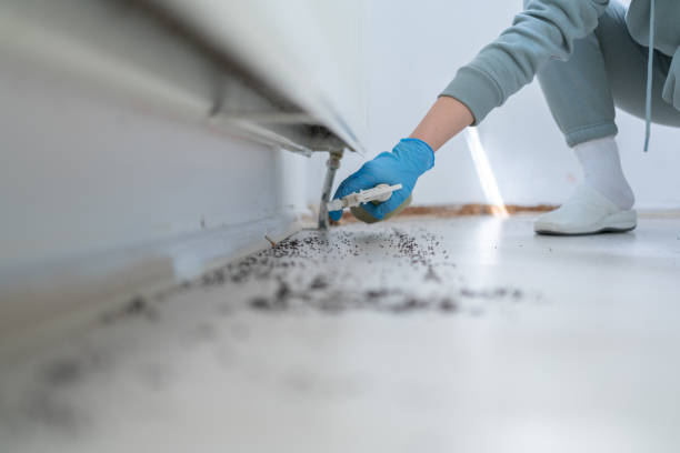 Fairfield University, CT Pest Control Company